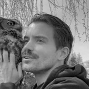 Photo of Guillermo Rauch